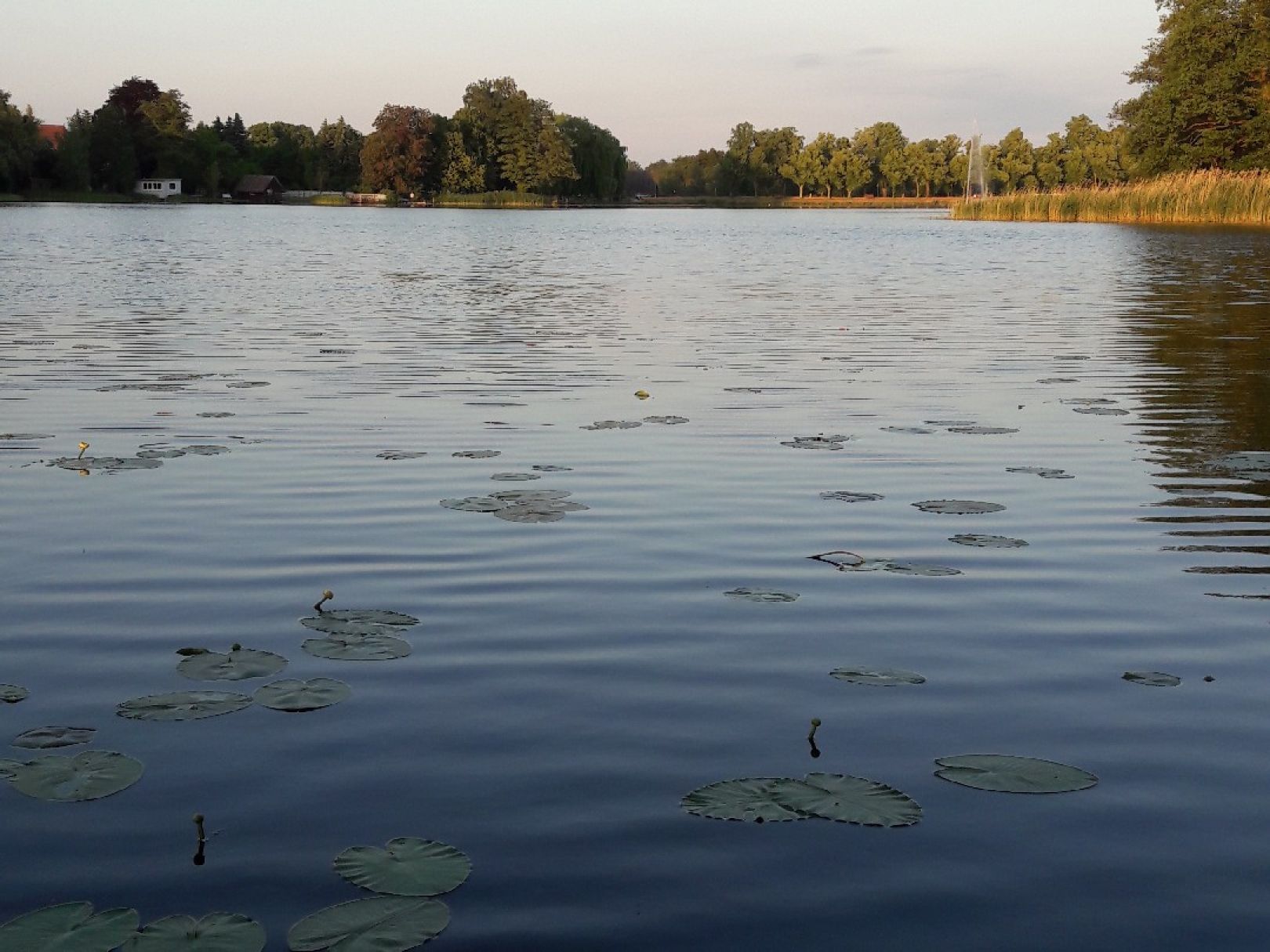 Klostersee (Dargun) angeln