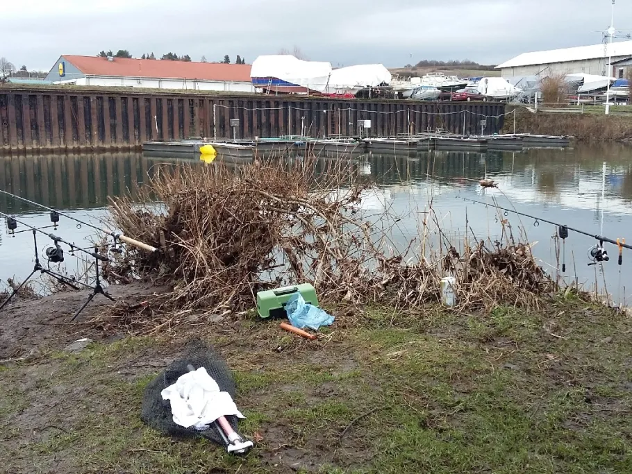 Lahn (Limburg/Lahn) angeln