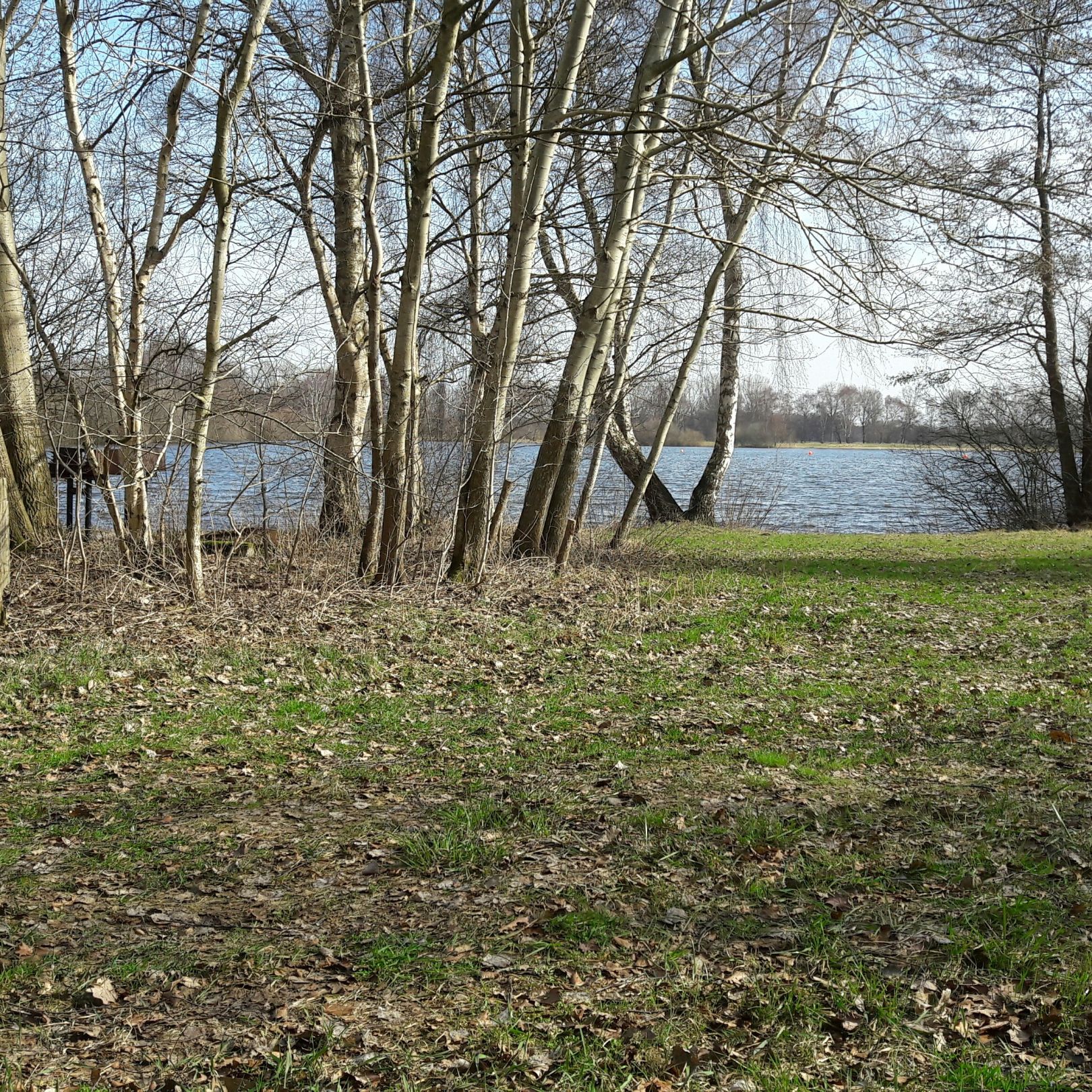 Sielingsee (Hohenbökener See) angeln