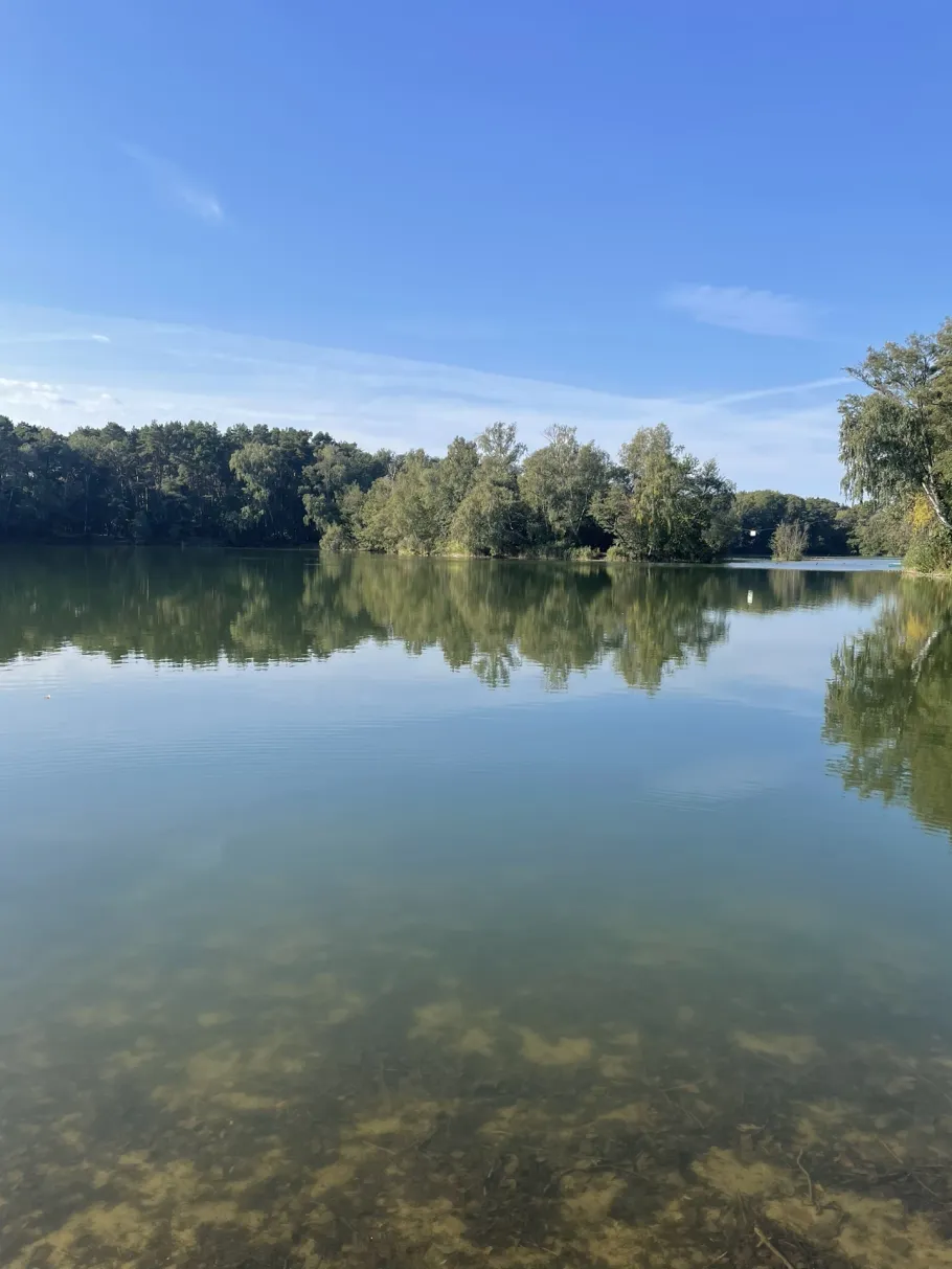 Neuer Kiessee (Bestensee) angeln