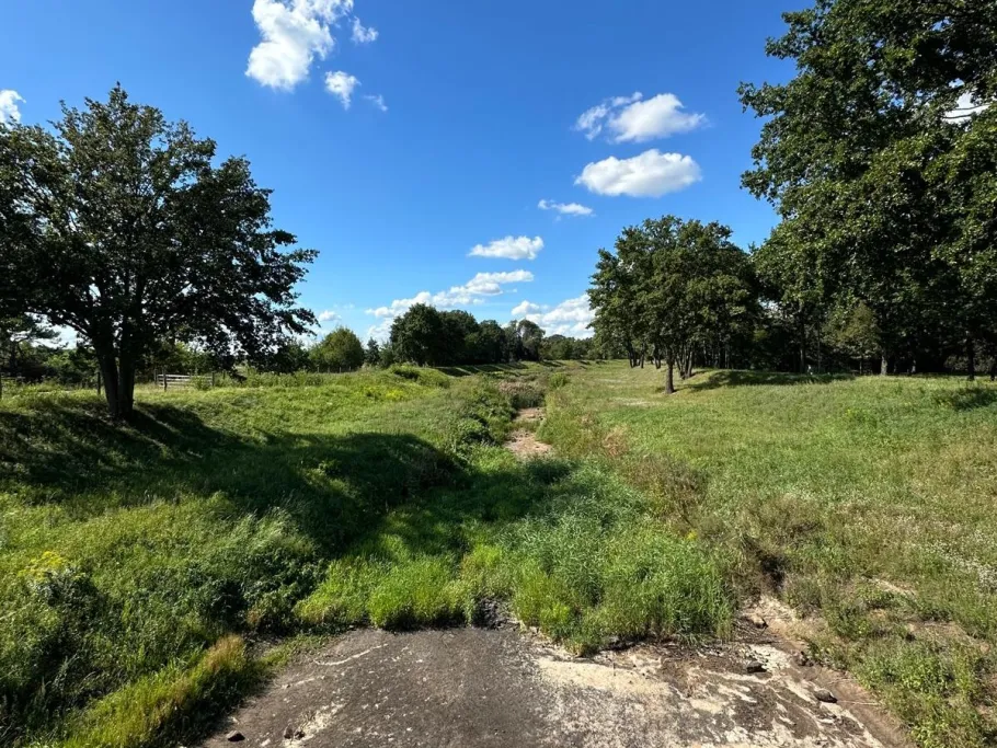 Schwarze Elster (Senftenberg) angeln