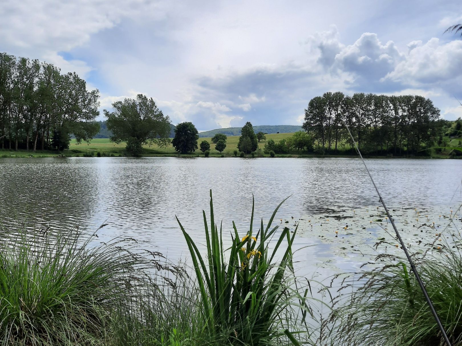 Angeln in Mellrichstadter Forst