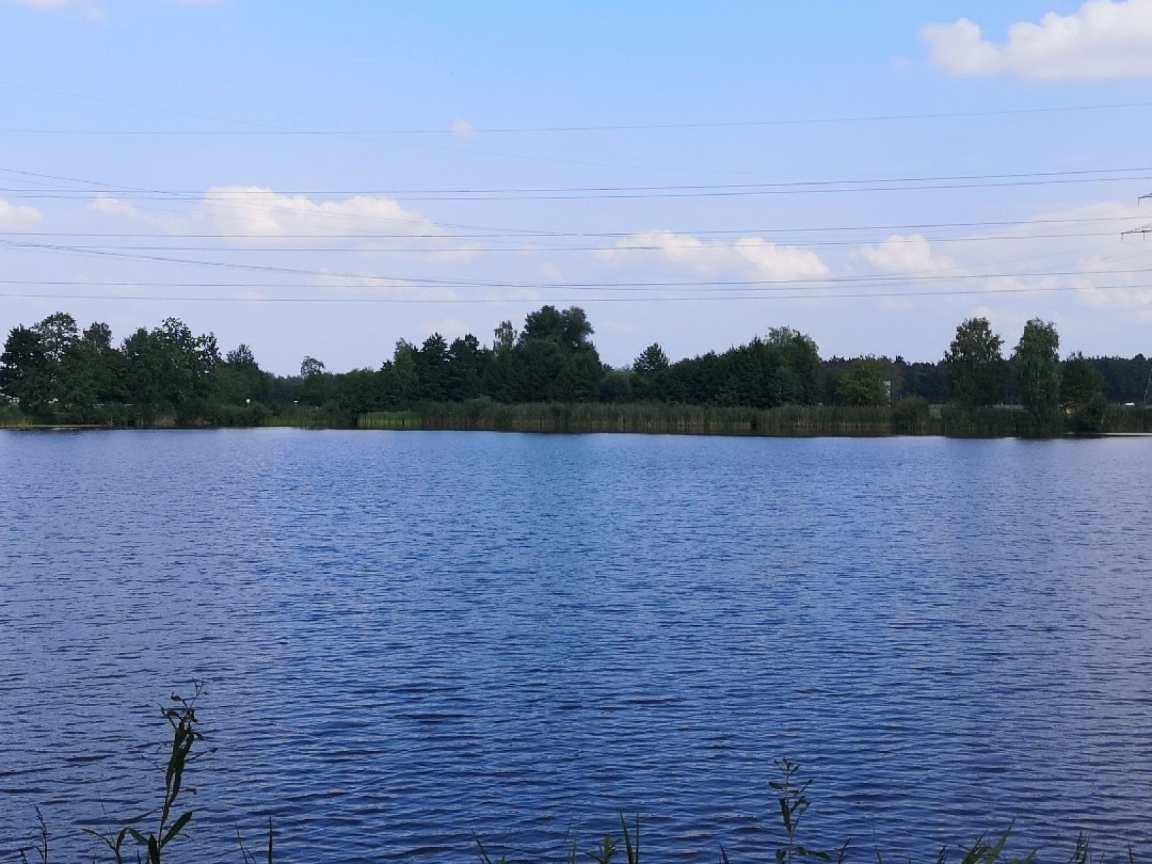 Fischhofsee (Bömmerlschlagweiher) angeln