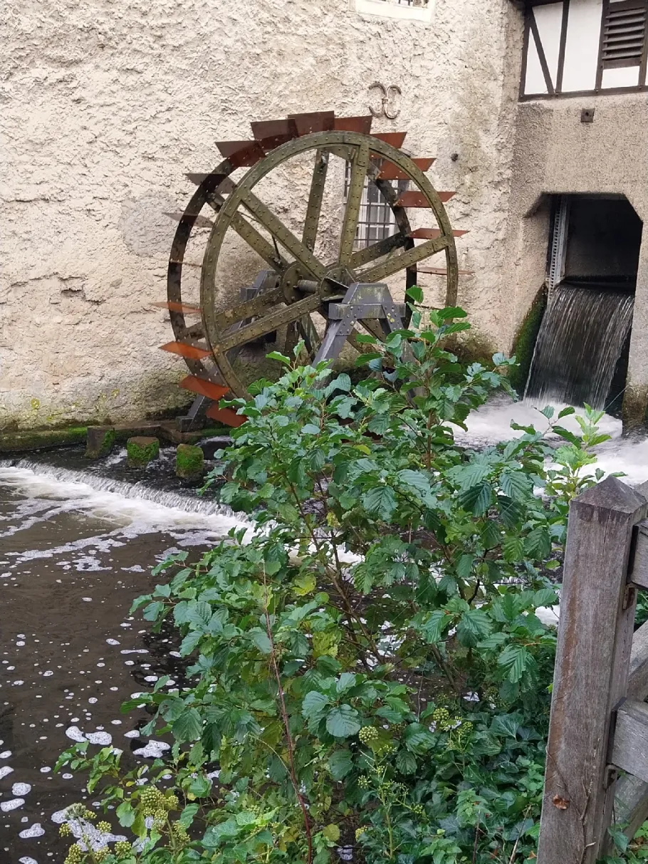 Mühlenstever (Lüdinghausen) angeln