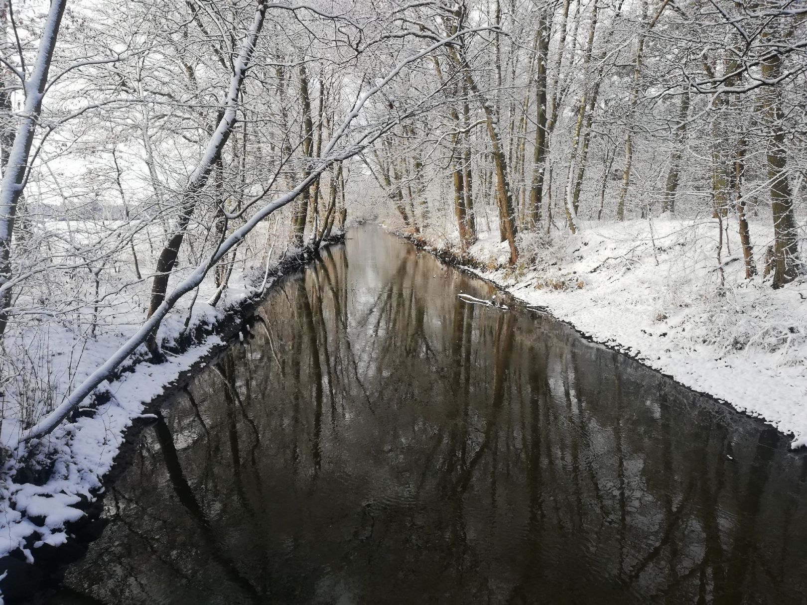 Ludwigsluster Kanal angeln