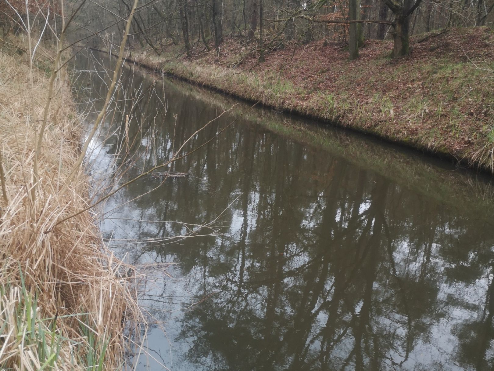 Ludwigsluster Kanal angeln