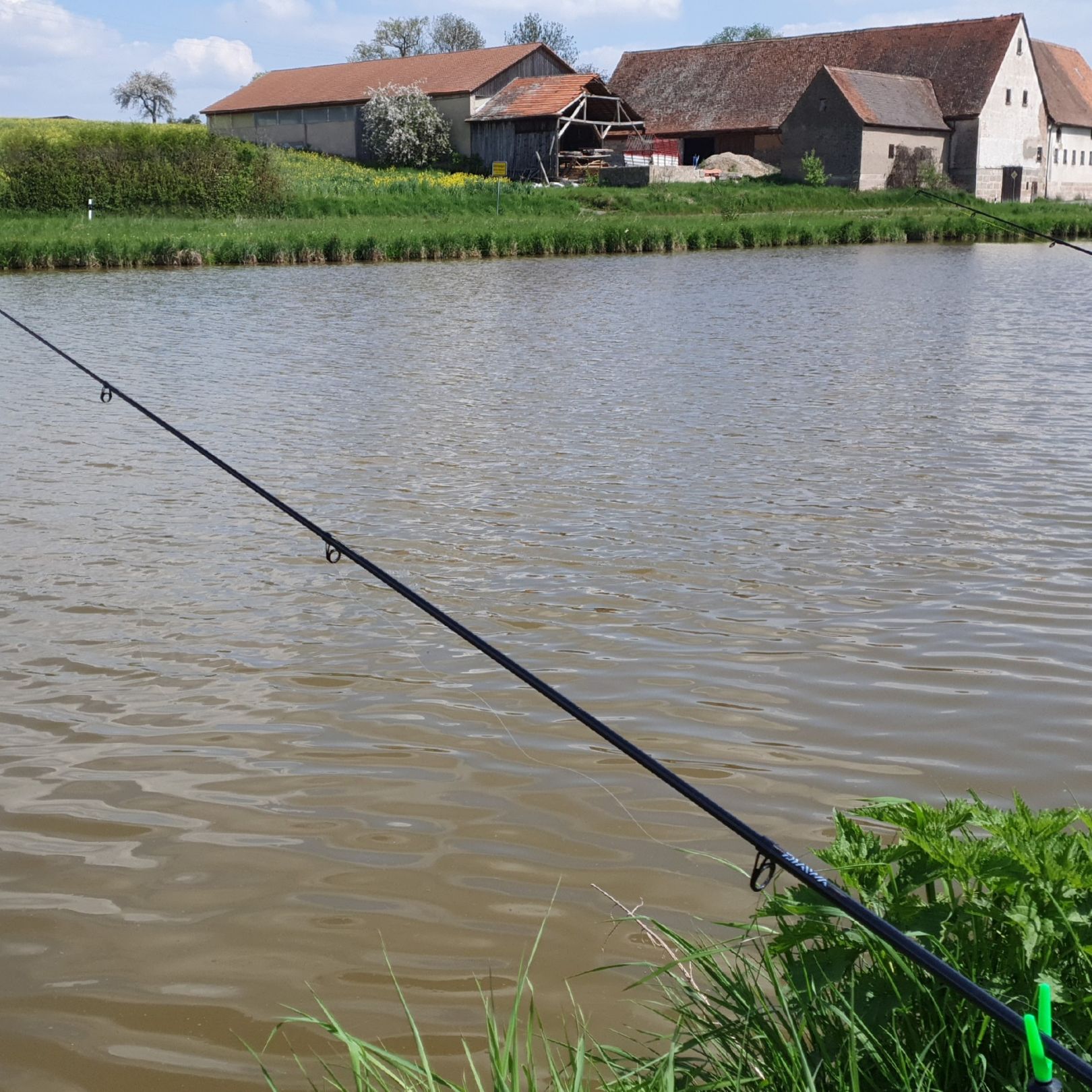 Hornsegen Weiher angeln