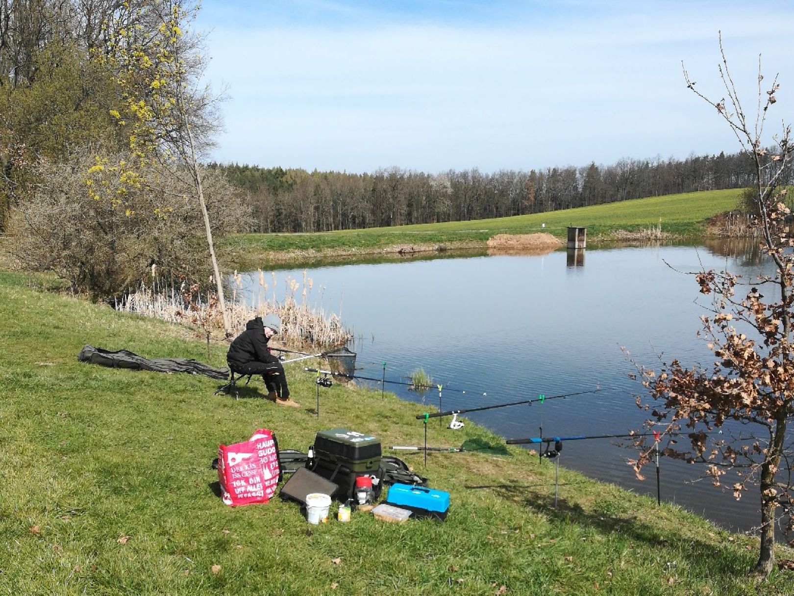 Wiesenteich (Weida) angeln