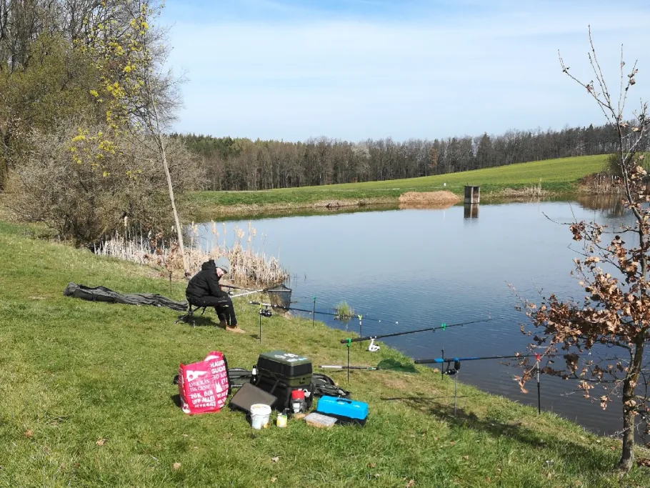 Wiesenteich (Weida) angeln