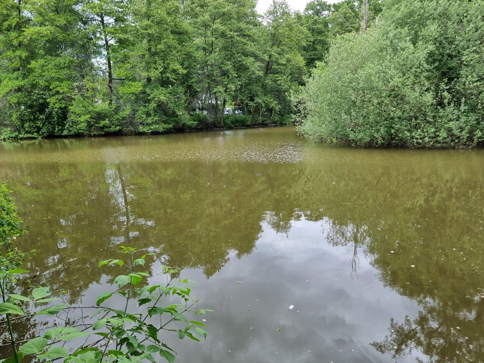 Ritterweiher (Bad Vilbel) angeln