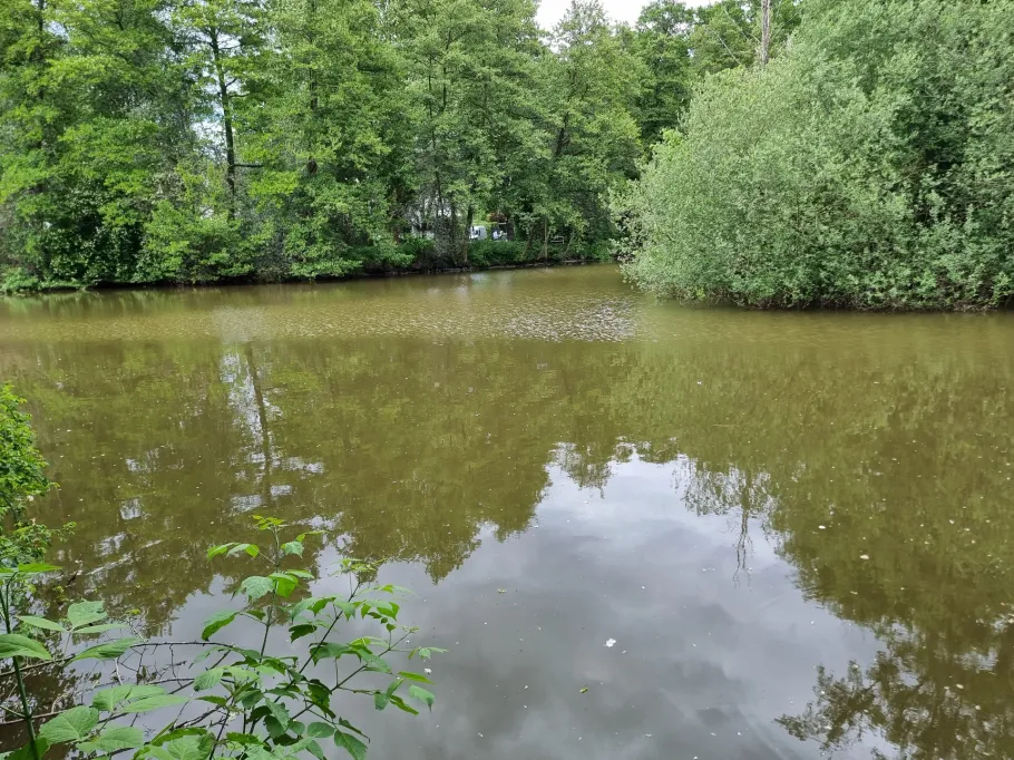 Ritterweiher (Bad Vilbel) angeln