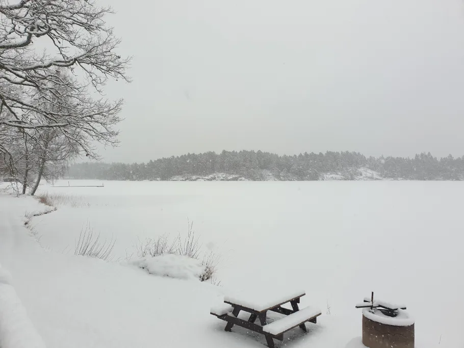 Stora Hammarsjön angeln
