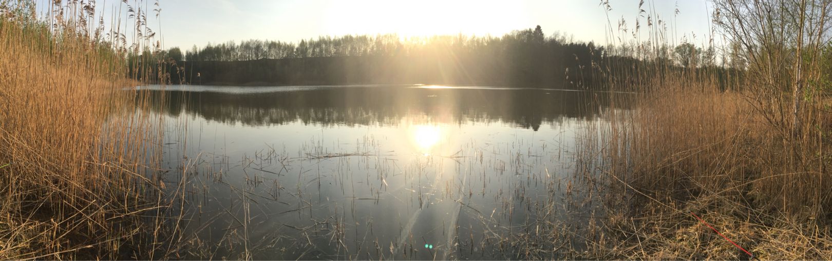 Lehmgrube Witzbach angeln