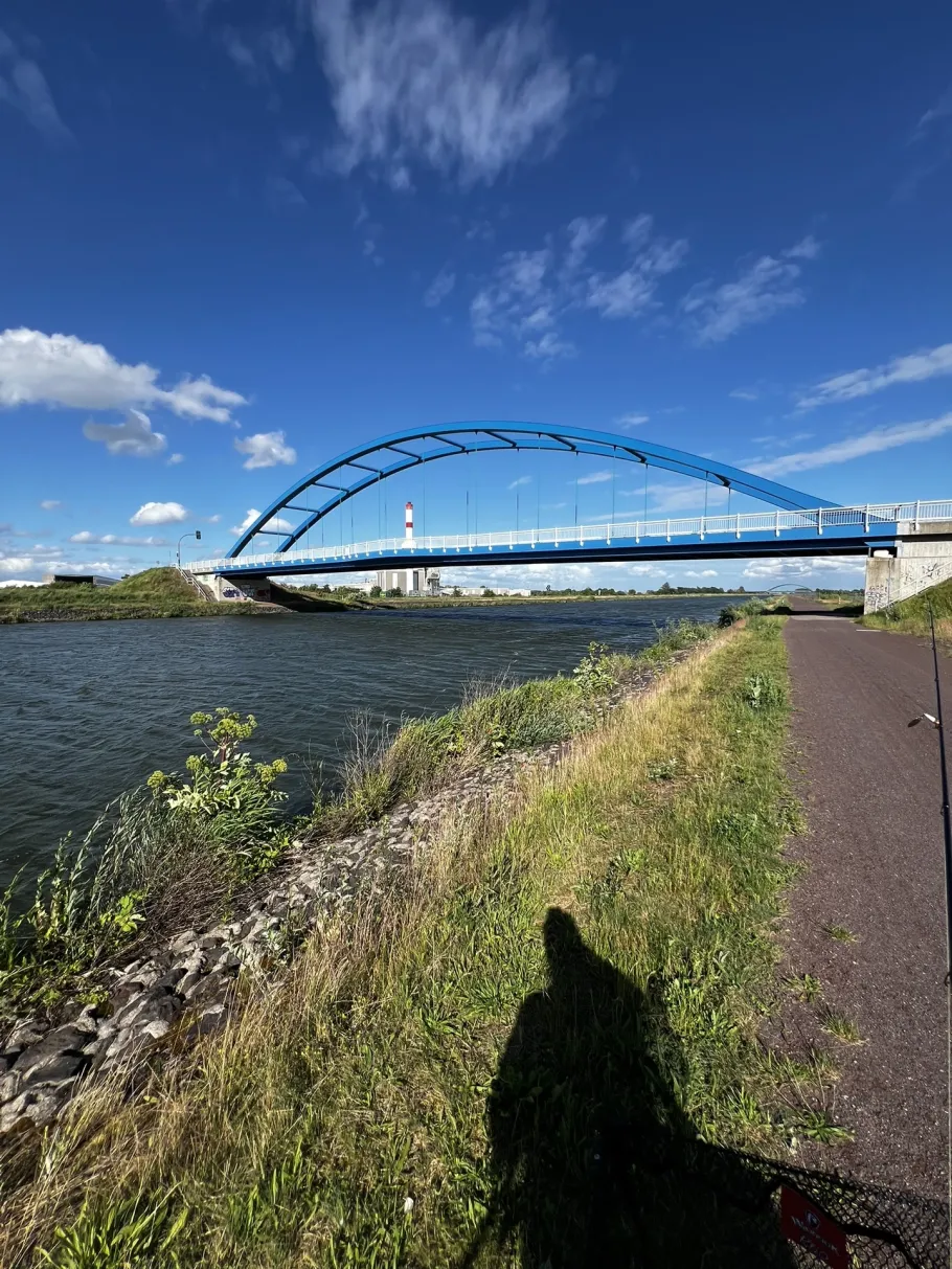 Mittellandkanal (Haldensleben) angeln