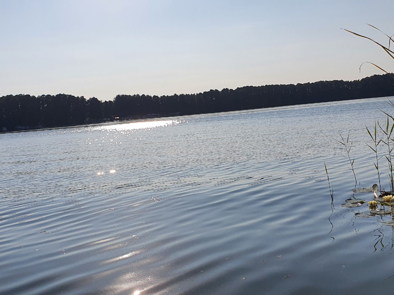 Netzener See angeln