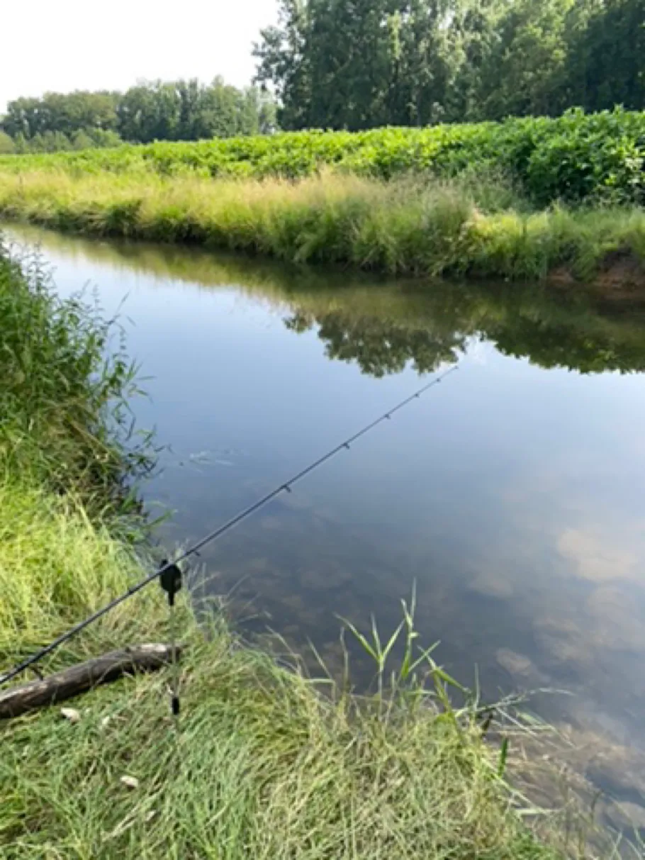 Axtbach (Herzebrock-Clarholz) angeln
