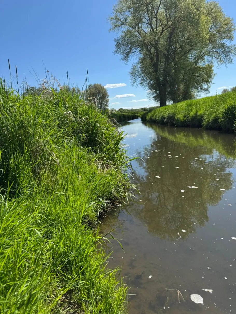 Axtbach (Herzebrock-Clarholz) angeln
