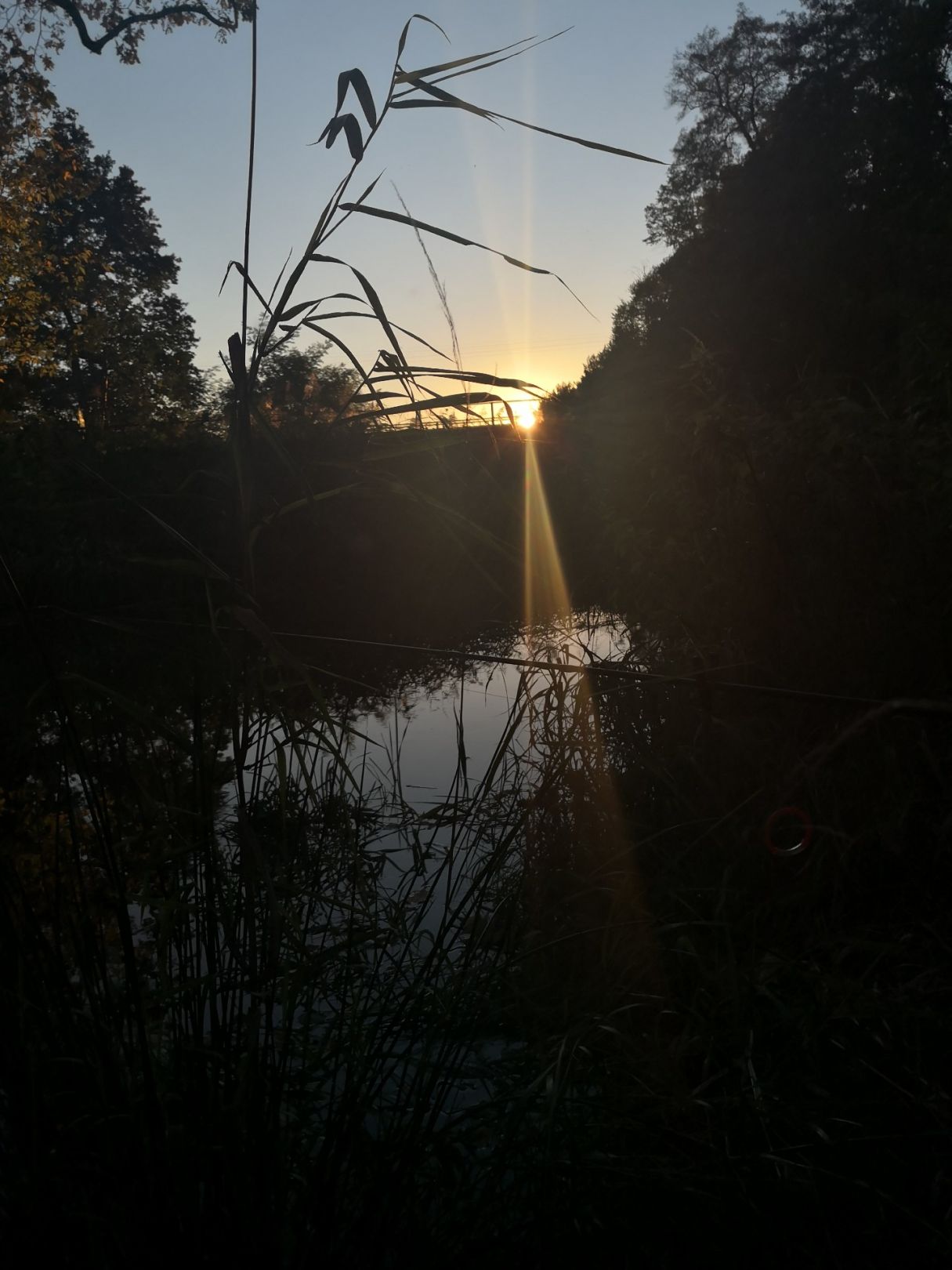 Raklitza (Rietschen) angeln