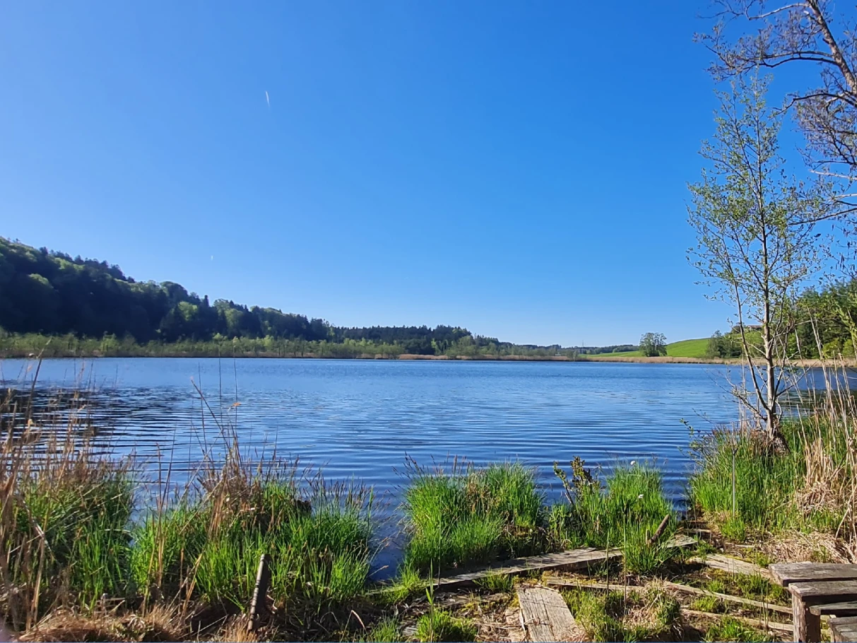 Bärnsee (Aschau) angeln