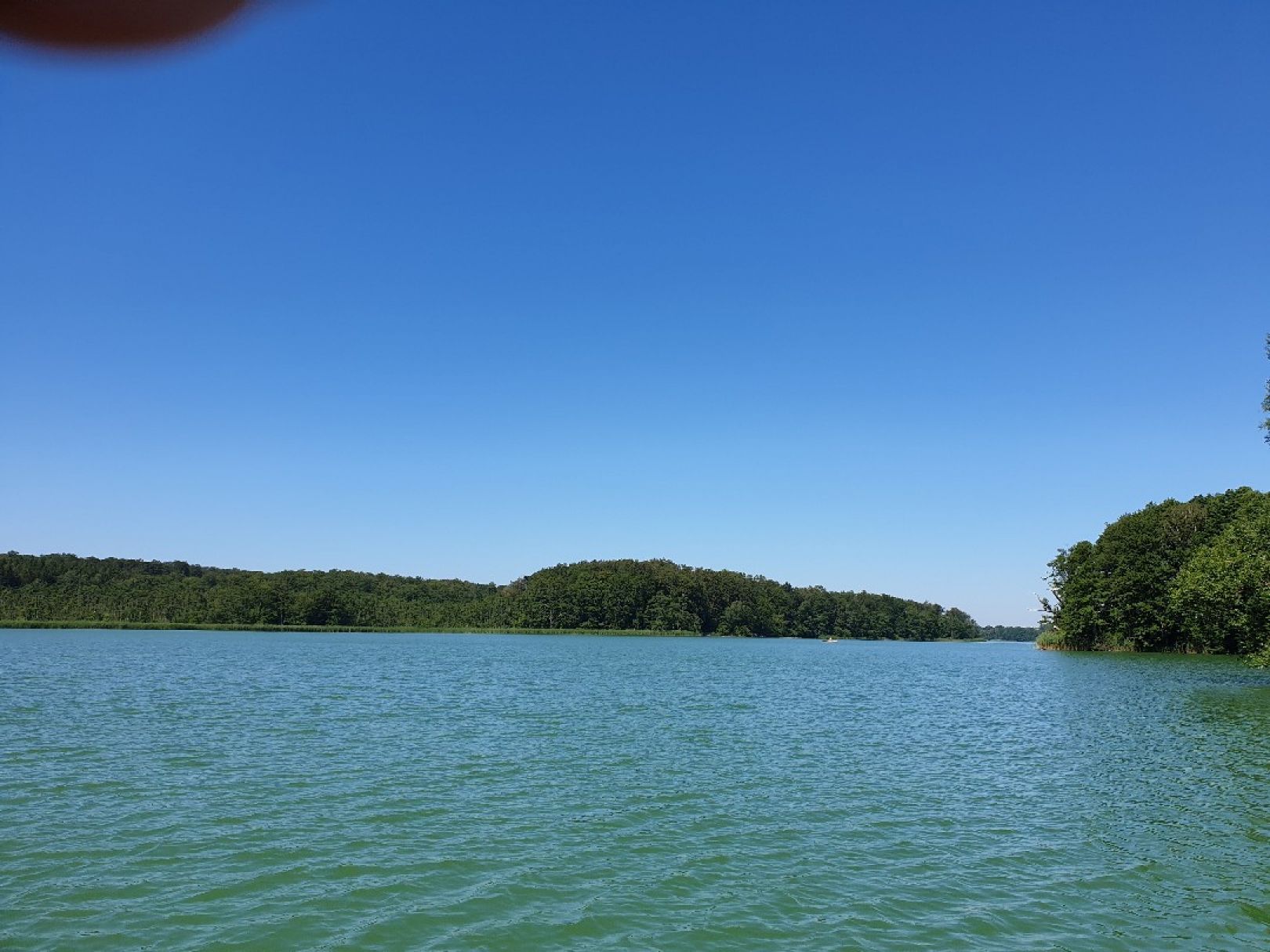 Haussee (Hardenbeck) angeln