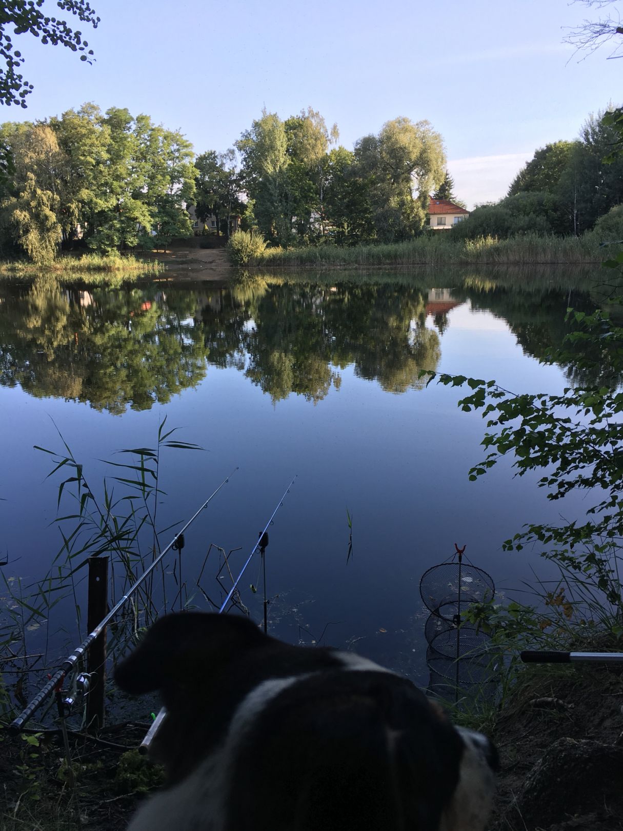 Börner See (Borgsdorf) angeln