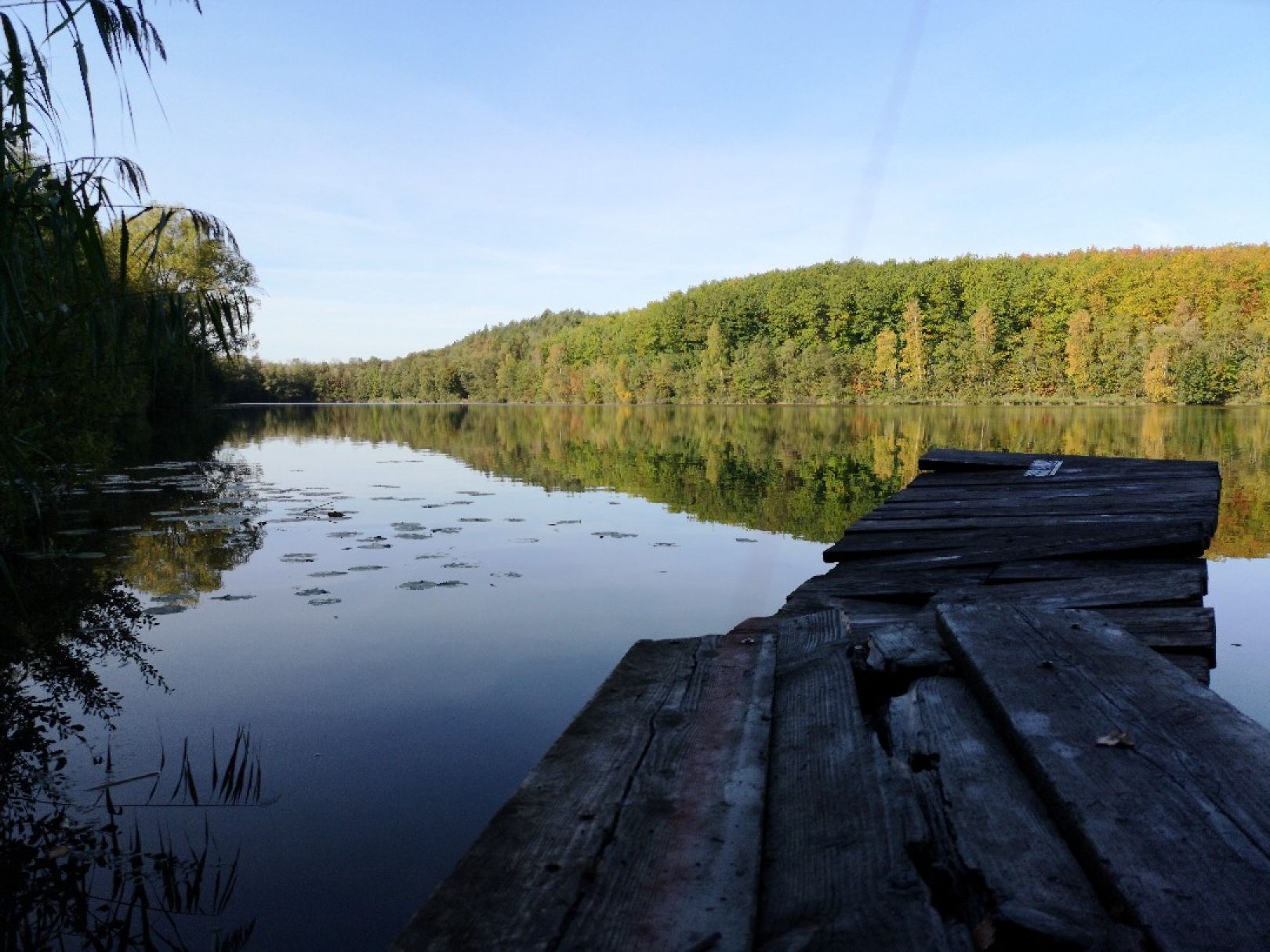 Untersee (Erftstadt) angeln