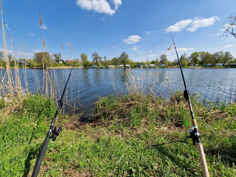 Biederitzer See (Umflutehle) angeln