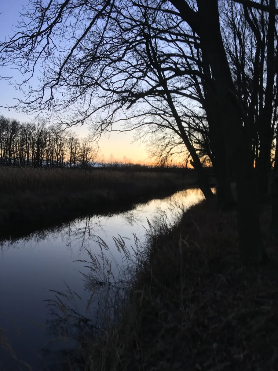 Kleine Aller (Wolfsburg) angeln