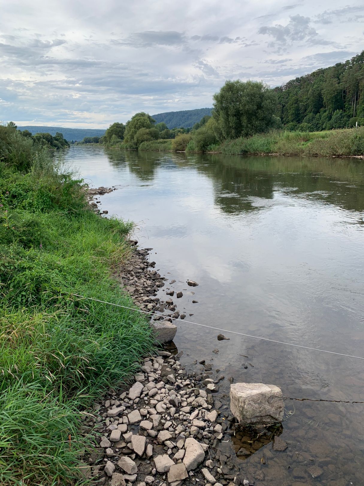 Weser (Reinhardshagen) angeln