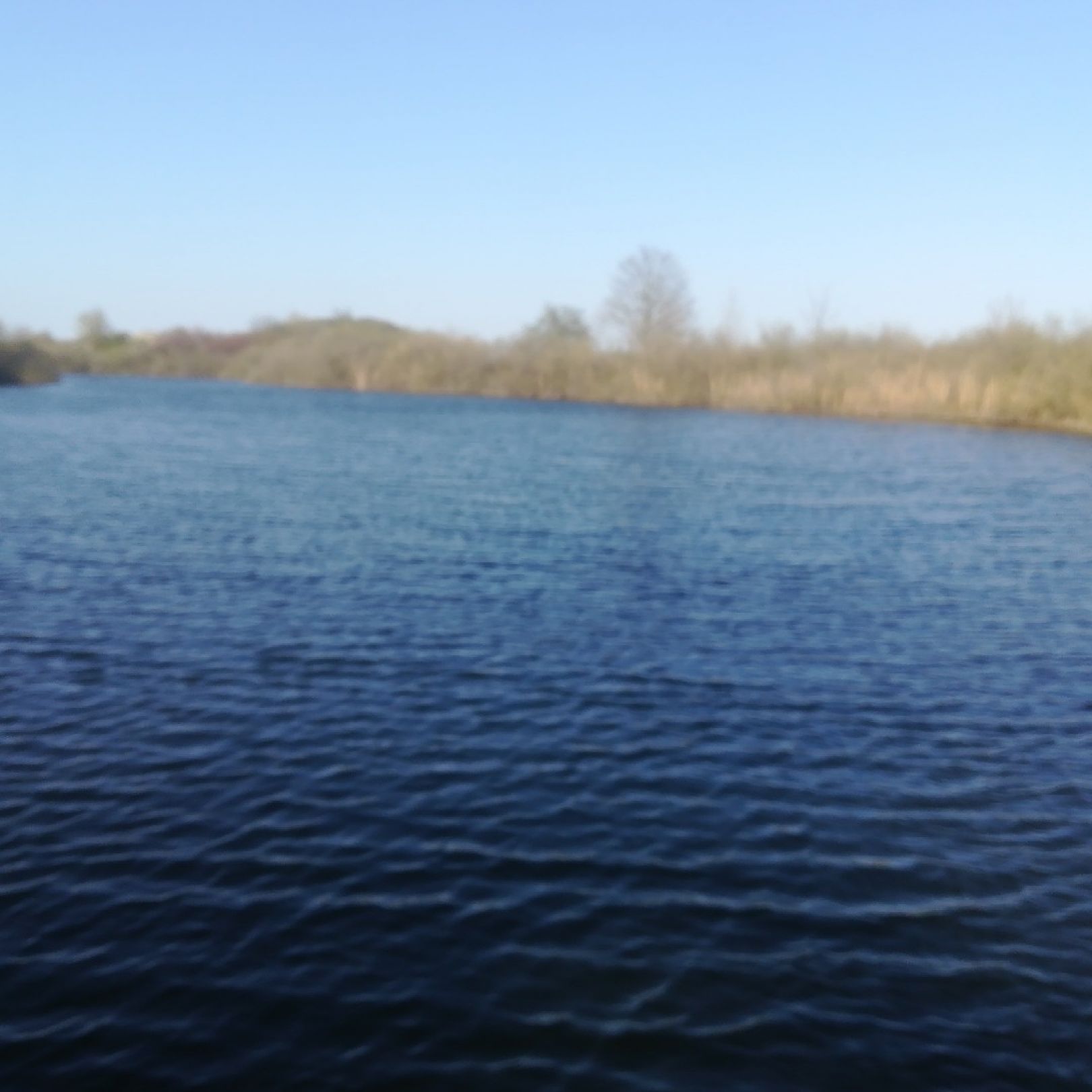 Darschkower See angeln