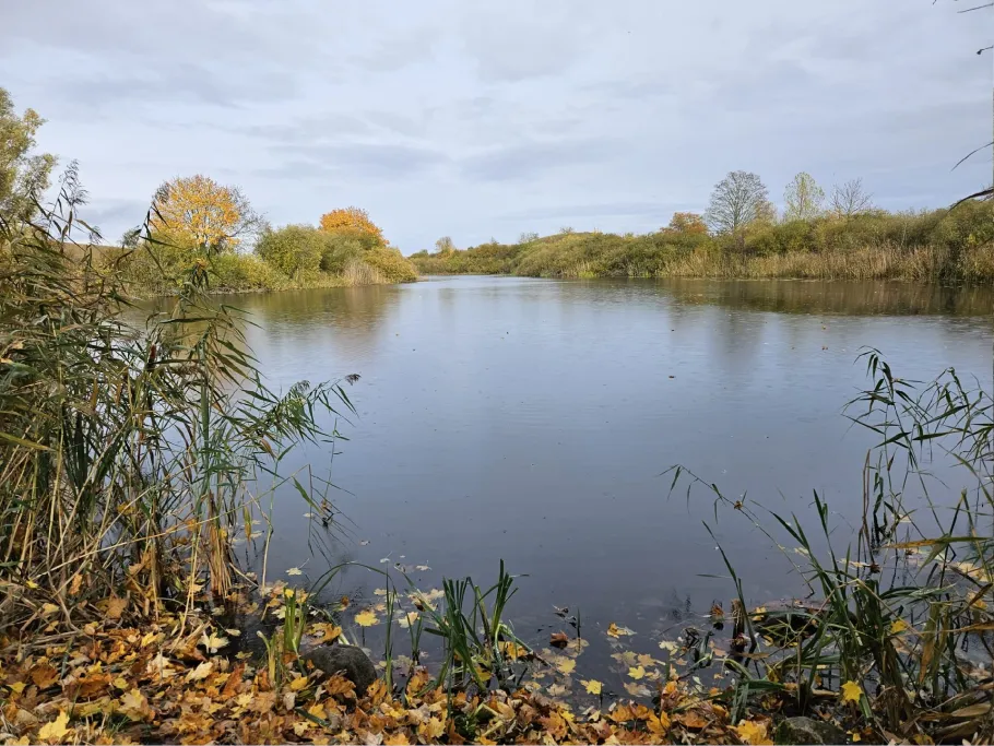 Darschkower See angeln