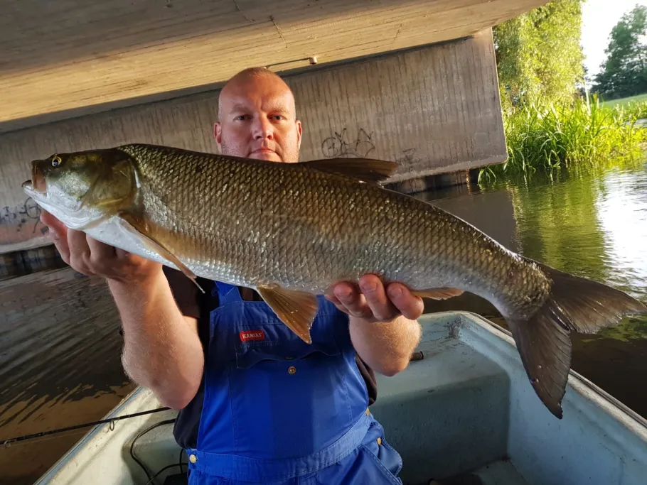 Reihersee (Brietlingen) angeln