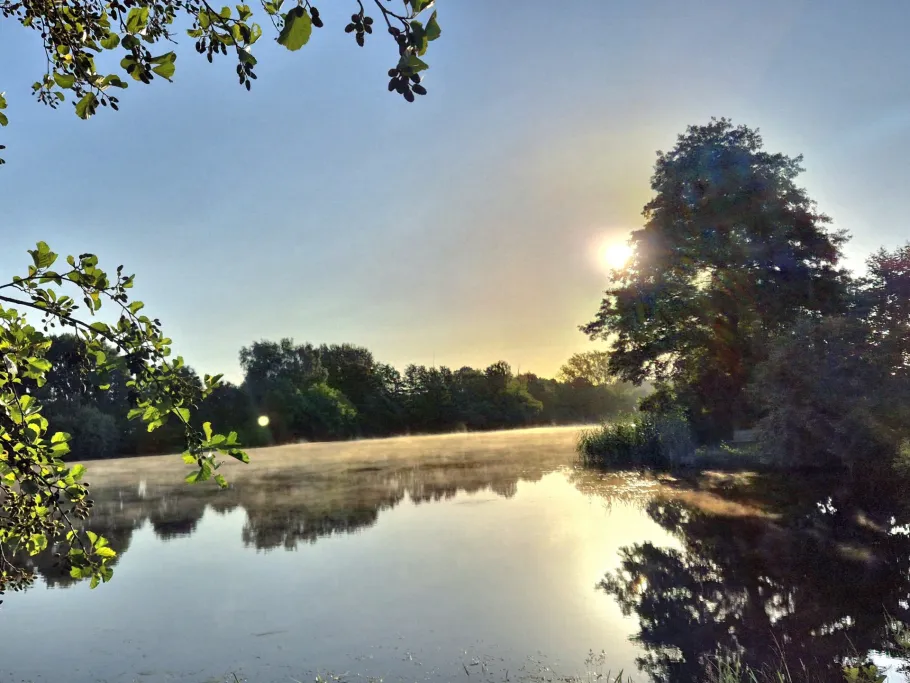Reihersee (Brietlingen) angeln