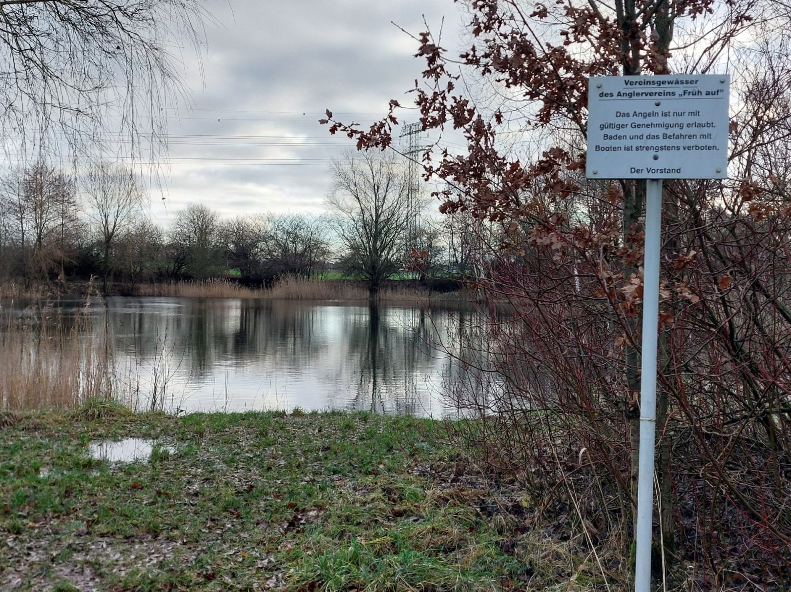 Vereinsteich Früh Auf Hagenow angeln