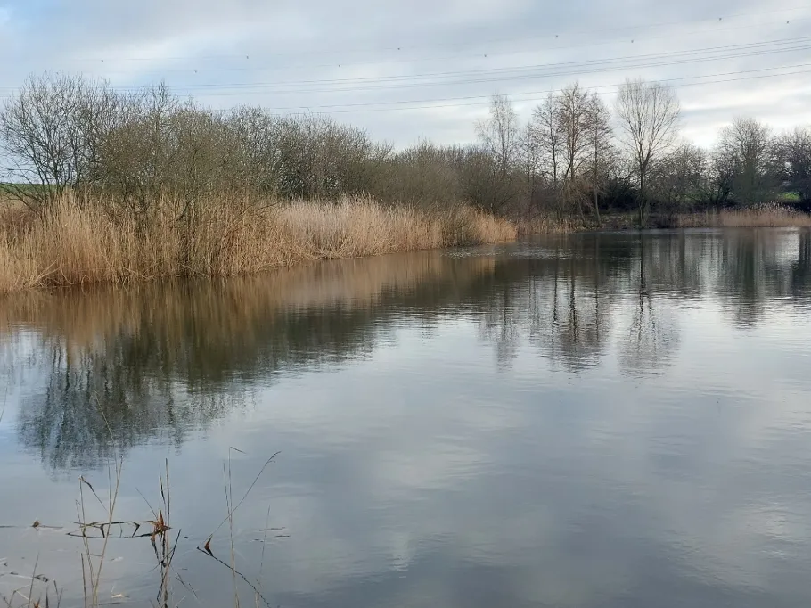 Vereinsteich Früh Auf Hagenow angeln