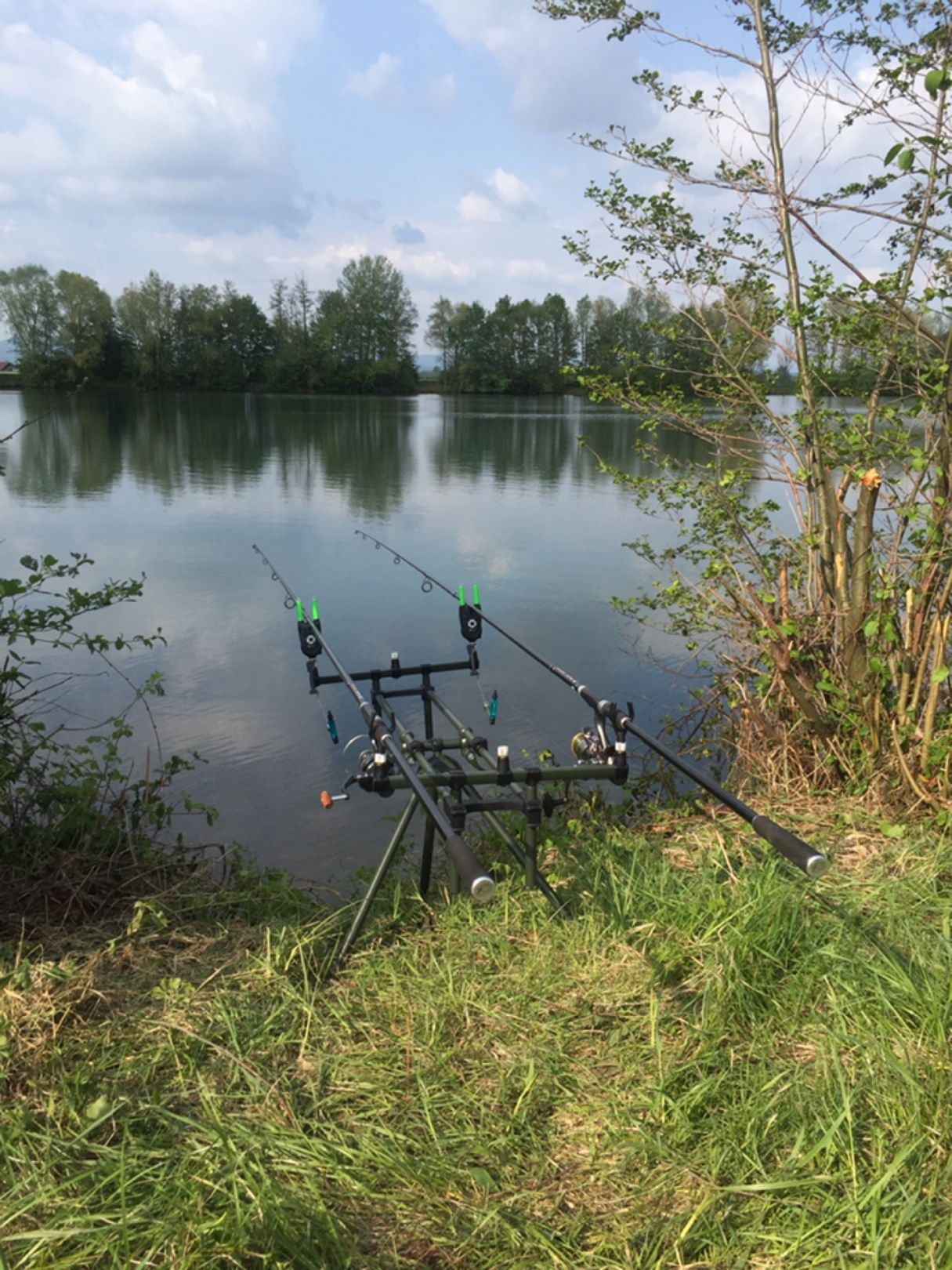 Flughafen-Weiher (Atting) angeln