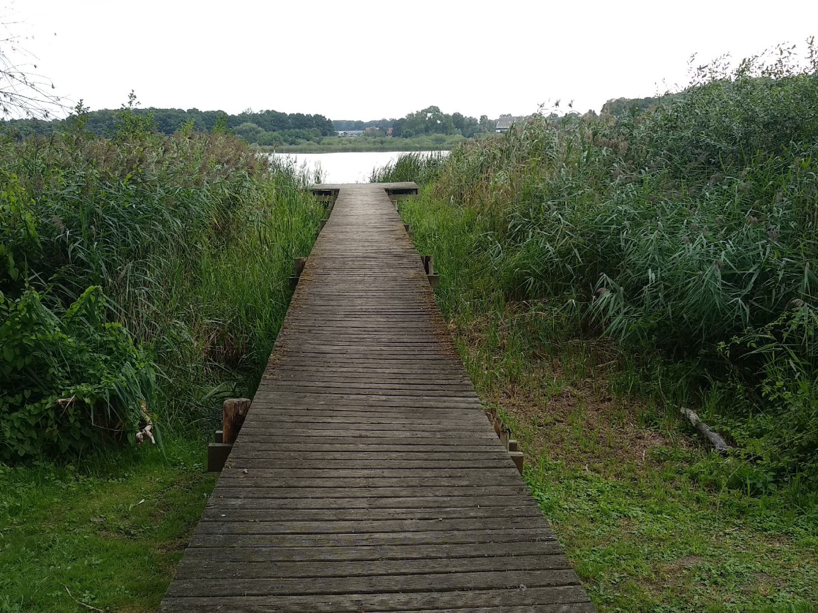 Angeln in Wedendorfersee