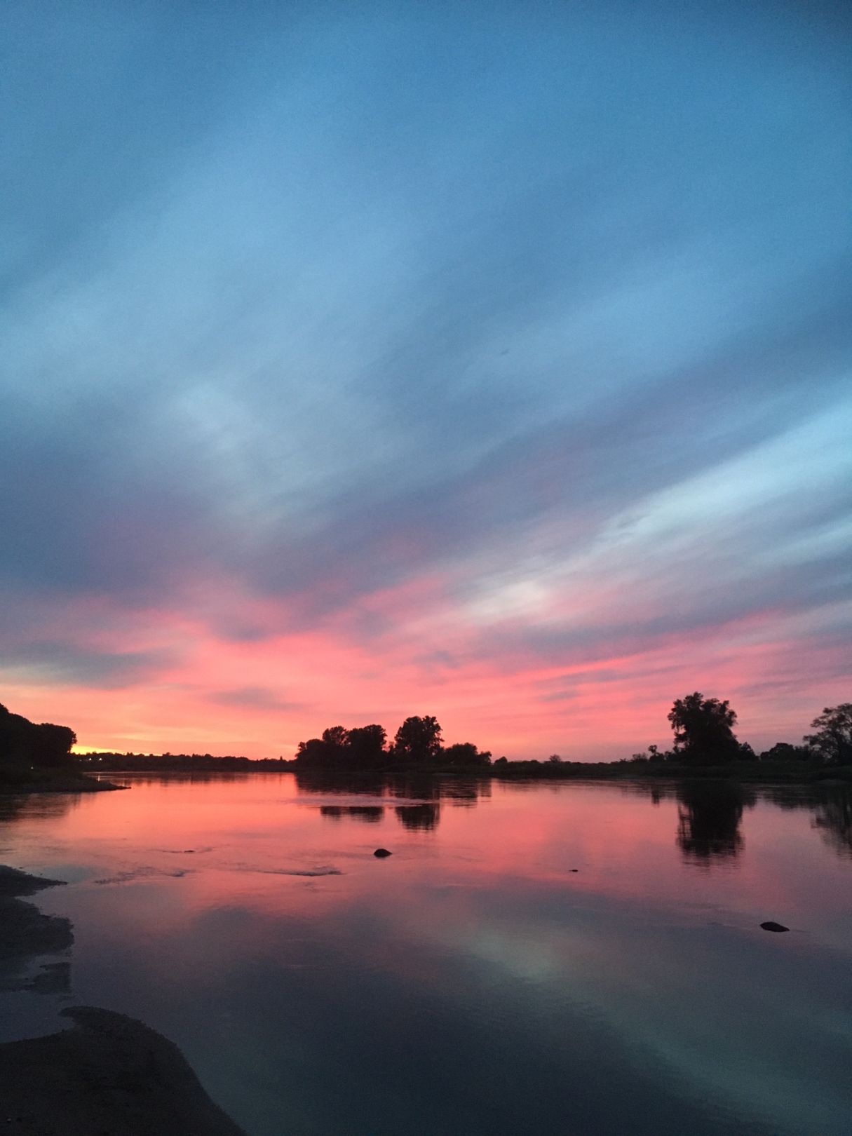 Elbe (Magdeburg) angeln