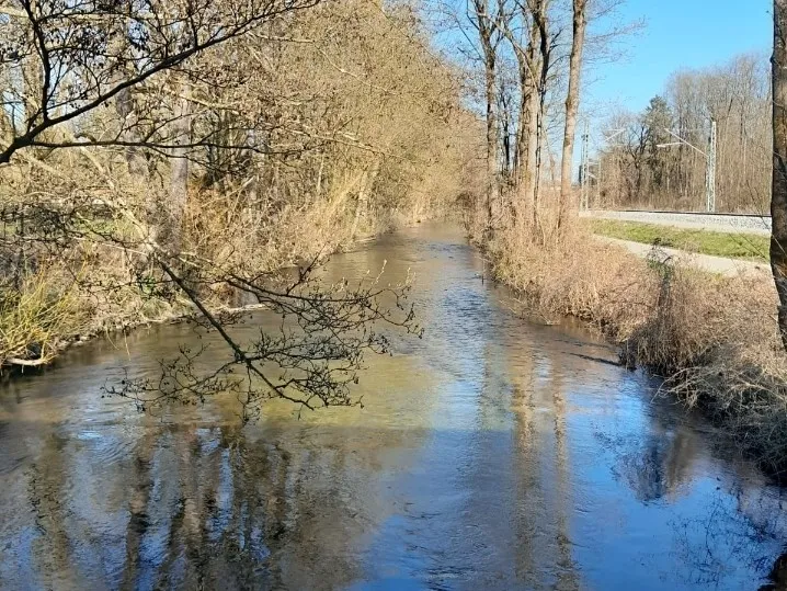 Moosach (Freising) angeln