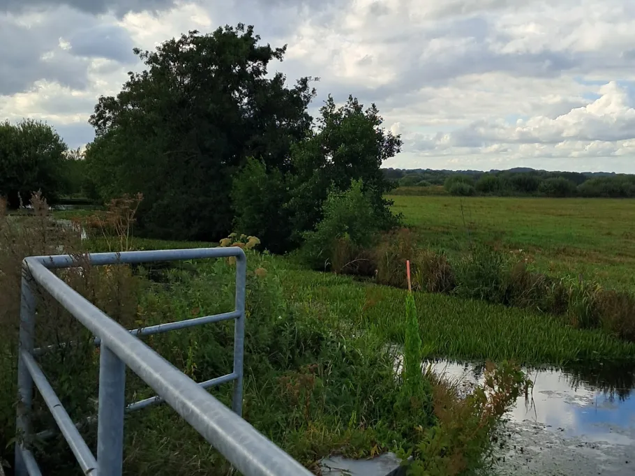 Ahrensfelder Graben angeln