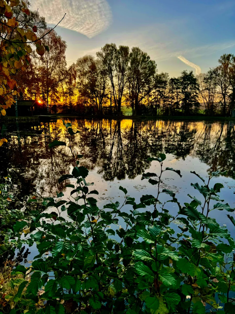 Schuntersee (Räbke) angeln