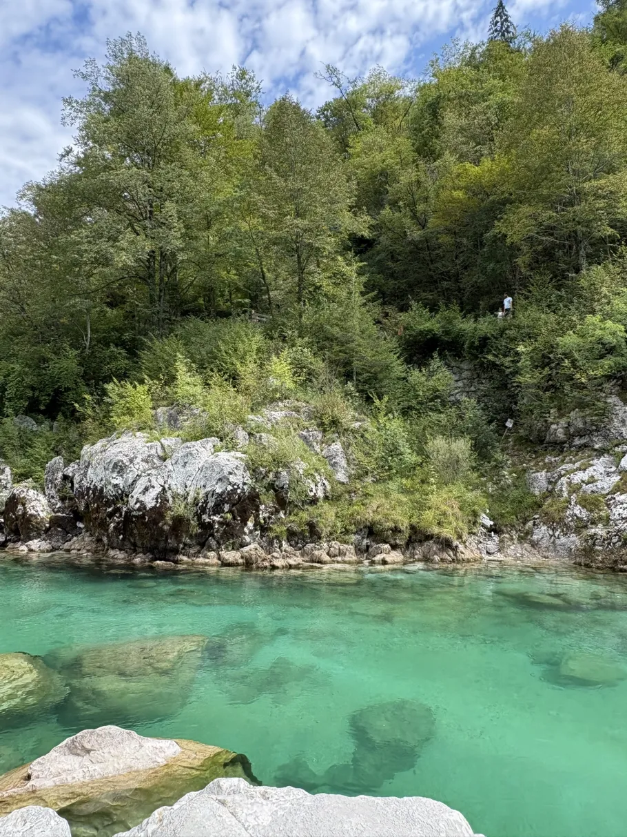 Soča (Kobarid) angeln