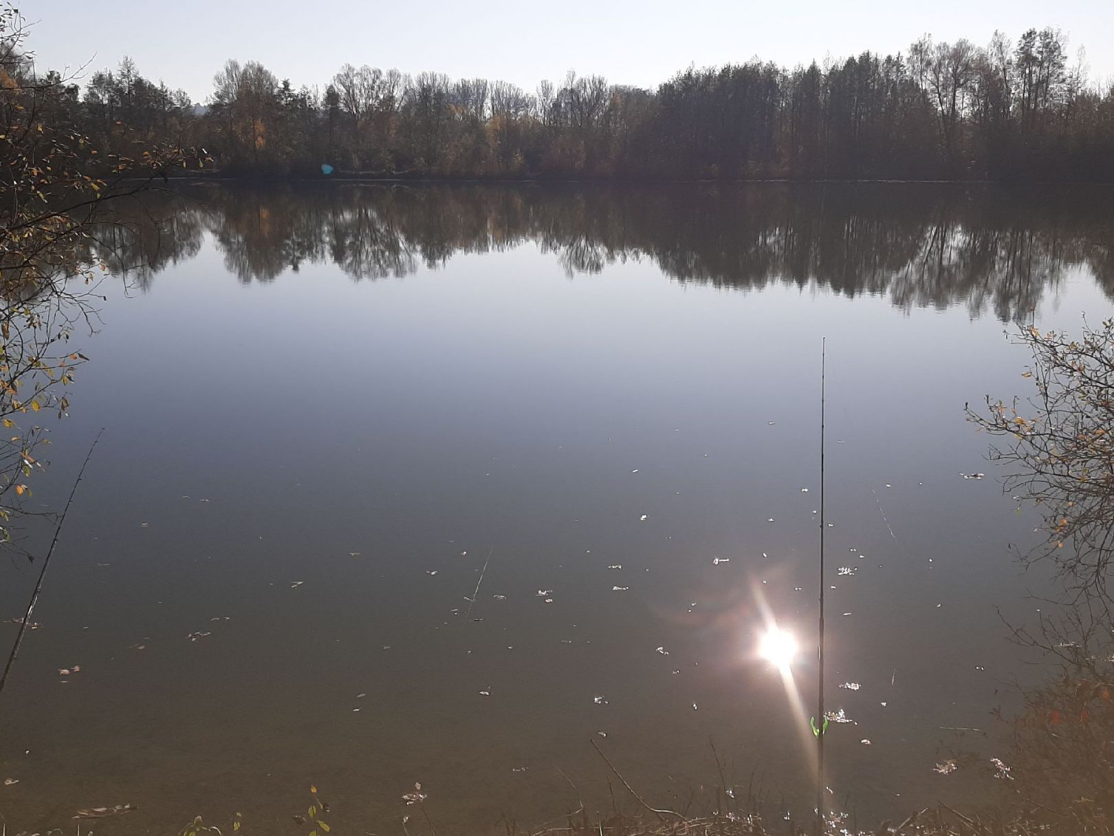 Freizeitweiher Sattling angeln