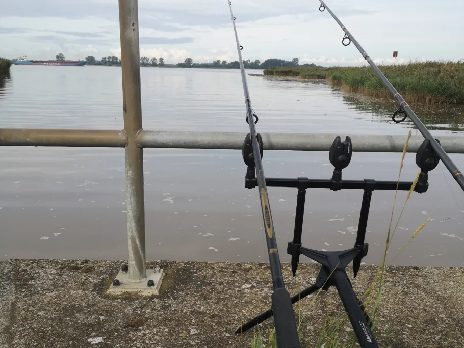 Weser (Stadland) angeln