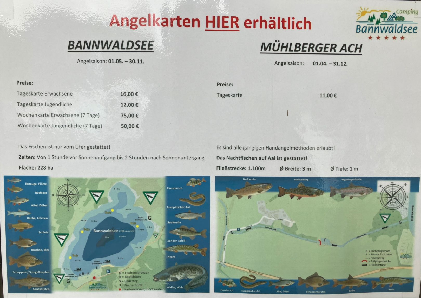 Bannwaldsee angeln