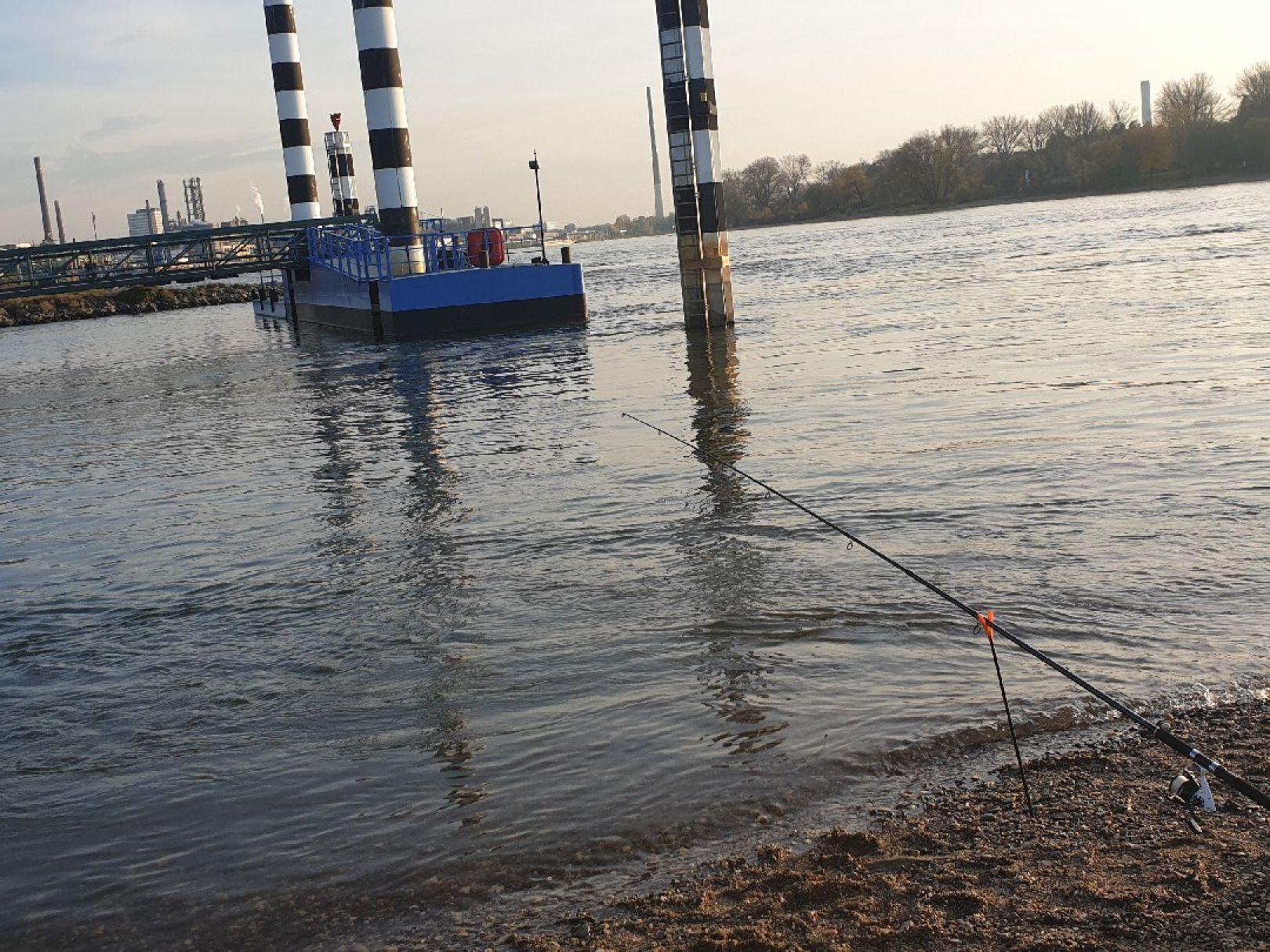 Rhein (Leverkusen) angeln