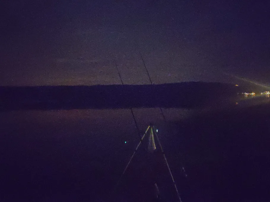 Bodensee (Überlinger See) angeln