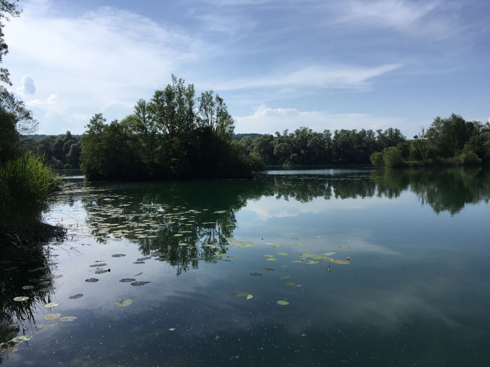 Angeln in Tapfheim