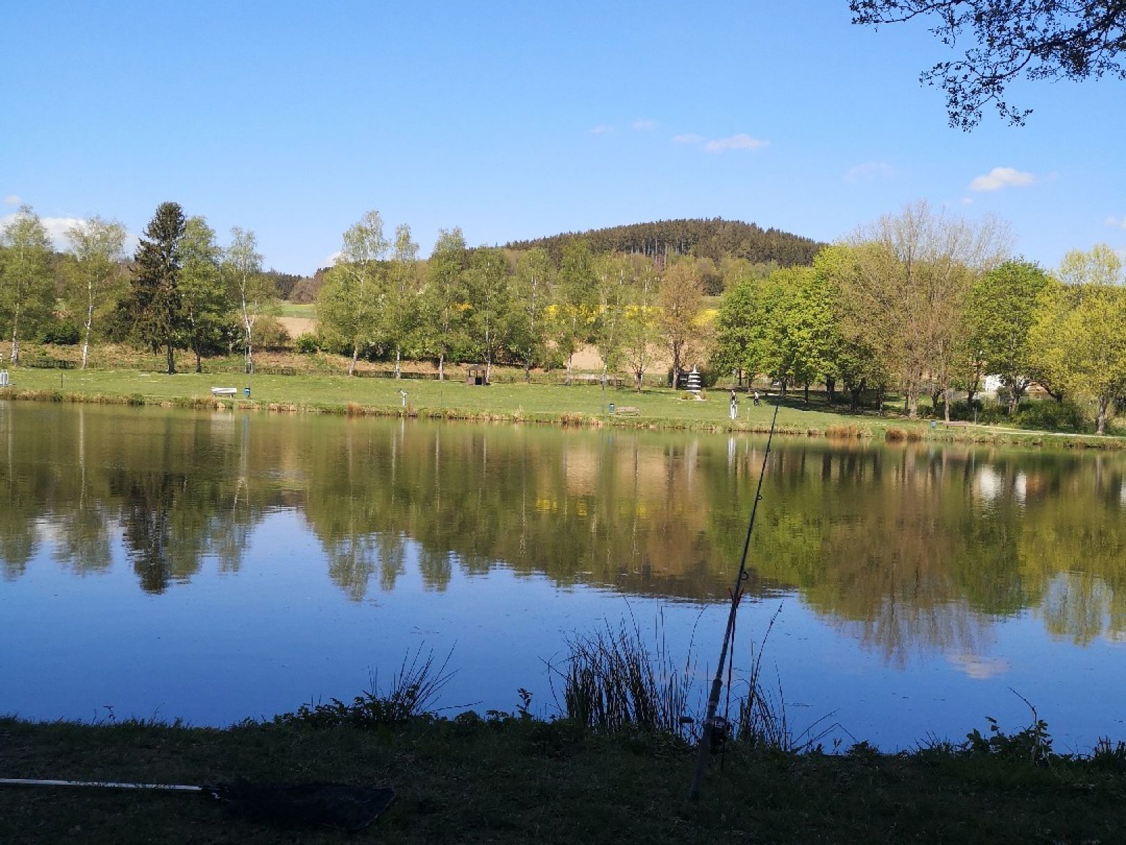 Hammerweiher (Dietzhölztal) angeln