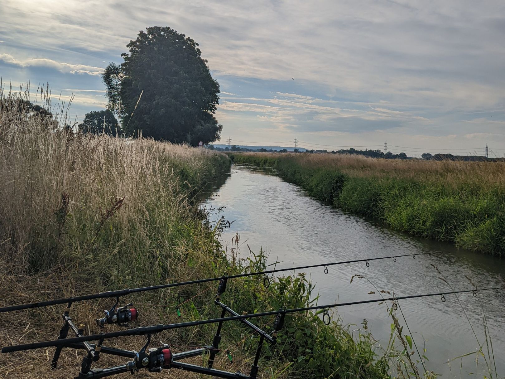 Hunte (Hunteburg-Ochsenmoor) angeln